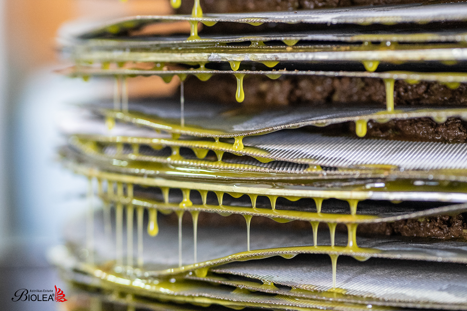 持続可能な生産