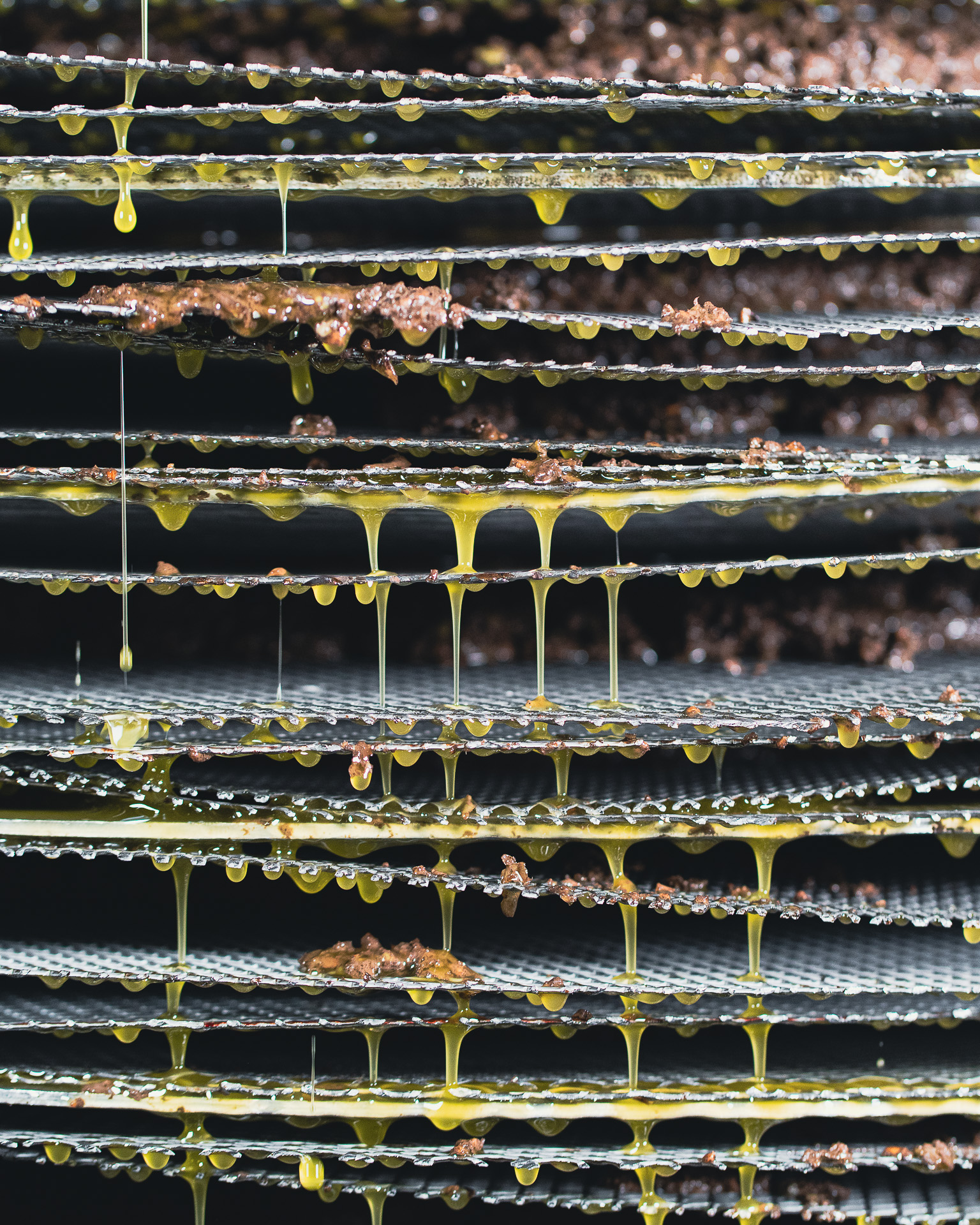 Sustainable Production